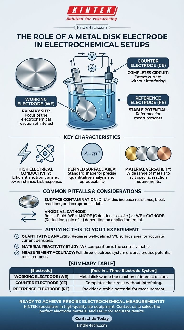 Qual é o papel comum de um eletrodo de disco de metal em uma configuração eletroquímica? Servindo como Eletrodo de Trabalho Primário Guia Visual