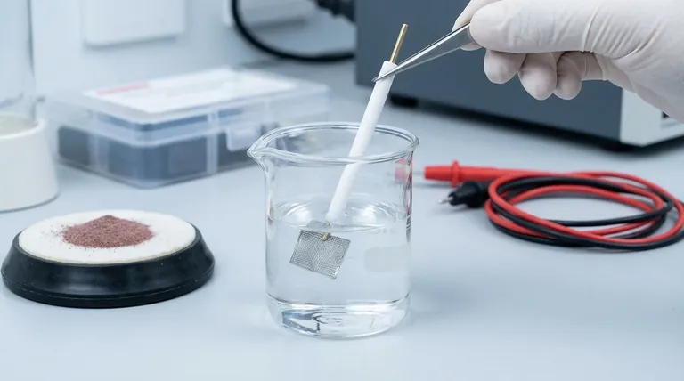 Quelles précautions faut-il prendre lors de l'utilisation d'électrodes à disque métallique ? Assurer la précision et la longévité