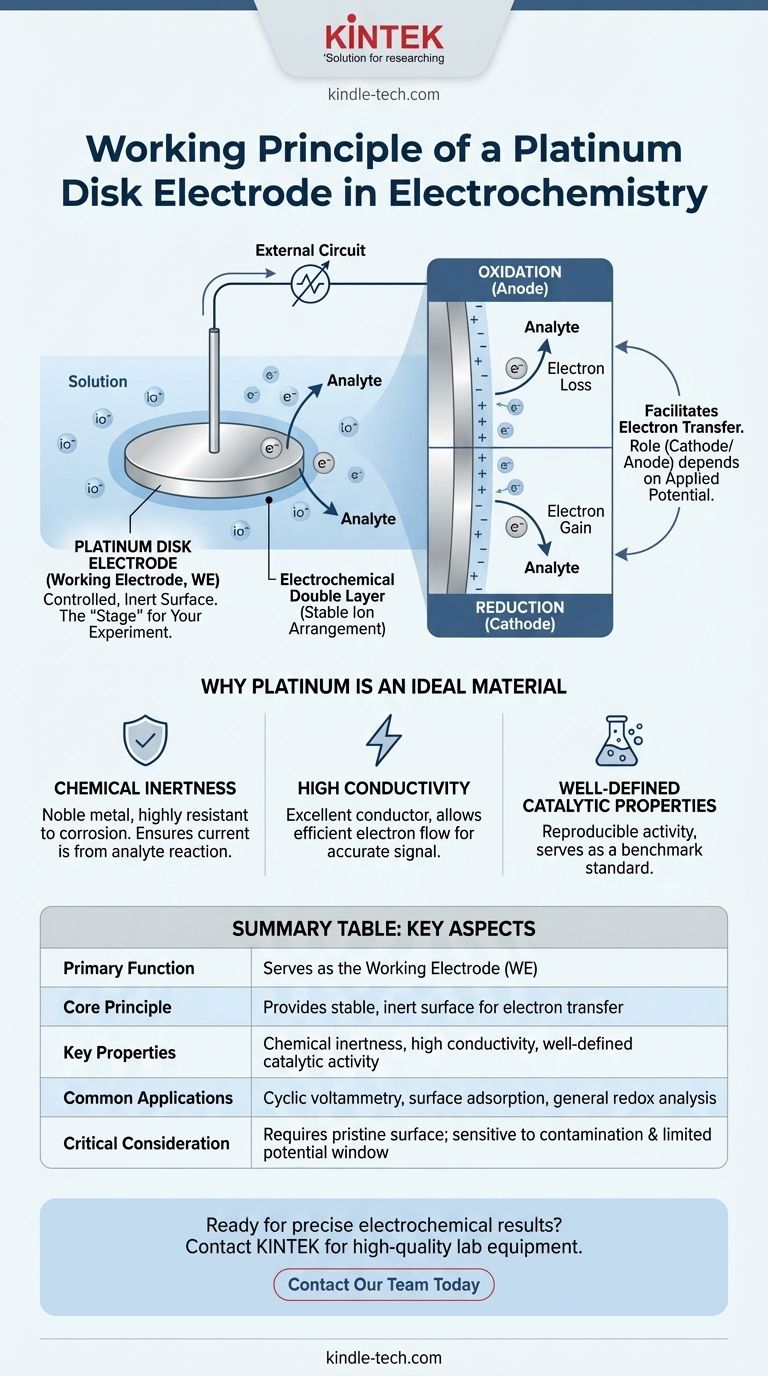 ما هو مبدأ عمل قطب القرص البلاتيني؟ دليل للتحليل الكهروكيميائي الدقيق دليل مرئي