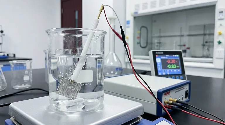 Was ist das Funktionsprinzip einer Platindisktenelektrode? Ein Leitfaden für präzise elektrochemische Analysen