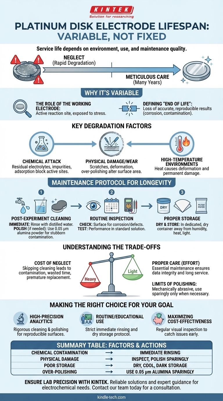 Каков типичный срок службы платинового дискового электрода? Максимизируйте производительность при правильном уходе Визуальное руководство