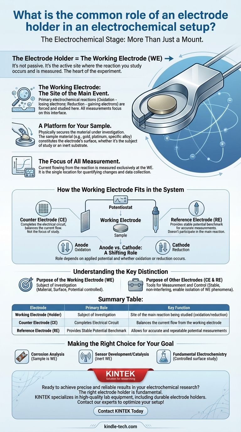 Quel est le rôle commun d'un porte-électrode dans une configuration électrochimique ? C'est l'Électrode de Travail Active Guide Visuel