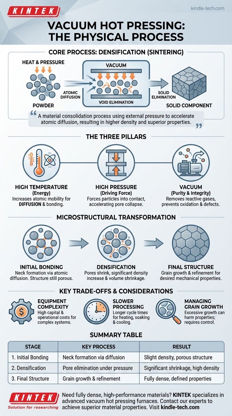 Quel processus physique se produit pour les matériaux à l'intérieur d'un four de pressage à chaud sous vide ? Obtenir une densification complète pour des matériaux supérieurs Guide Visuel