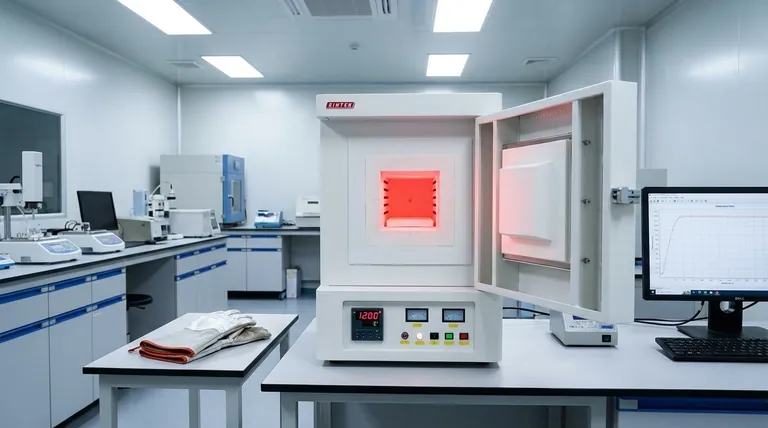 Quali sono i componenti principali di un forno a muffola ad alta temperatura? Una guida ai sistemi centrali