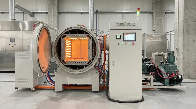 Quali sono i metalli più comunemente utilizzati nella zona calda di un forno a vuoto? Scopri la chiave per la lavorazione ad alta purezza