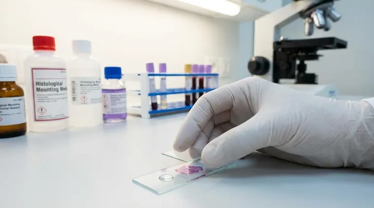 Quelle méthode est largement utilisée pour le montage des spécimens ? Obtenez des lames histologiques parfaites grâce à des techniques éprouvées