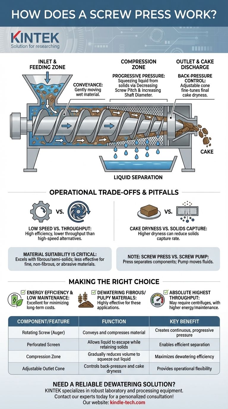 스크류 프레스는 어떻게 작동할까요? 효율적인 액체-고체 분리를 위한 가이드 시각적 가이드