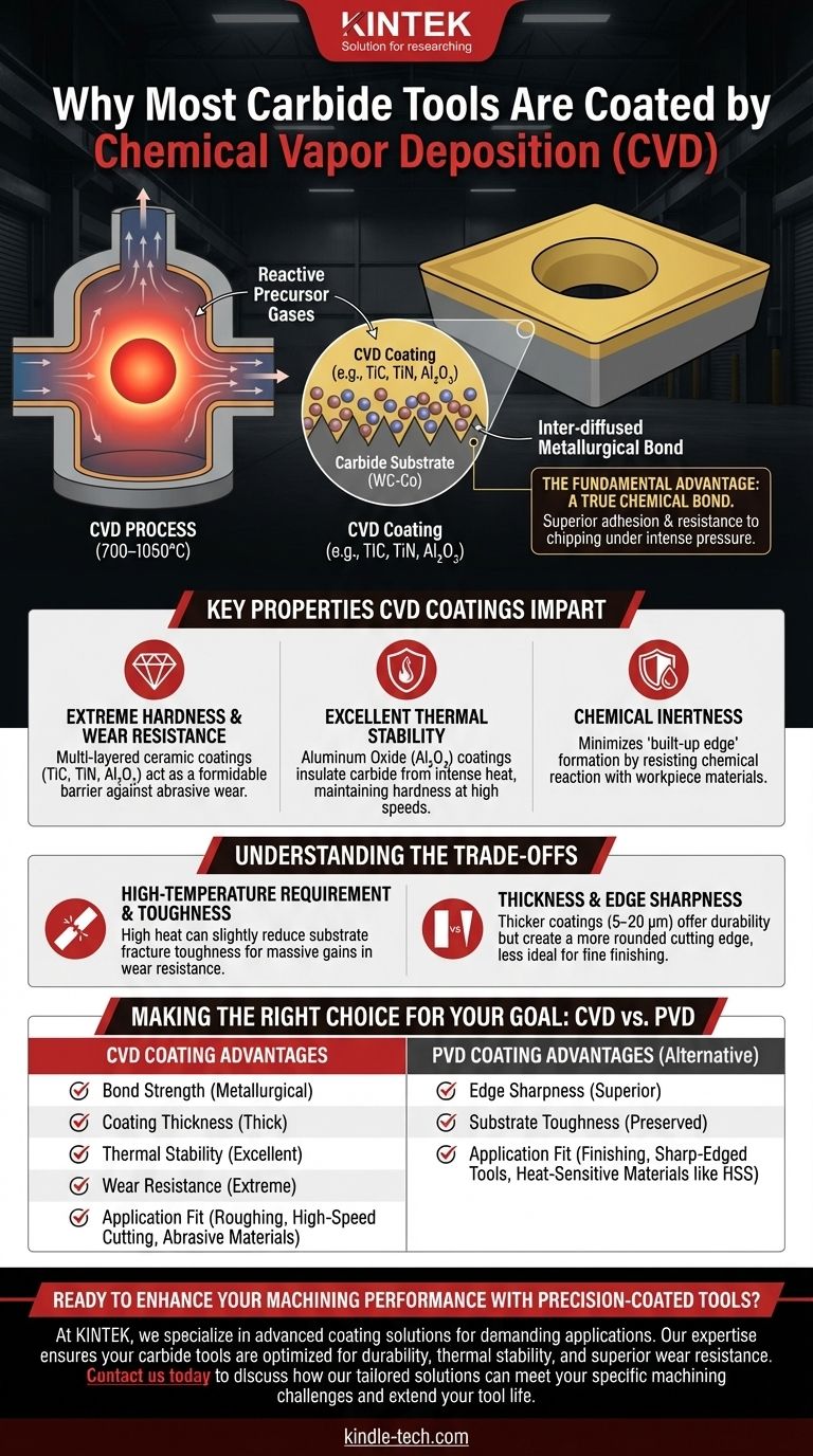 대부분의 초경 공구에 CVD 코팅을 하는 이유는 무엇일까요? 고속 가공을 위한 뛰어난 내구성 잠금 해제 시각적 가이드