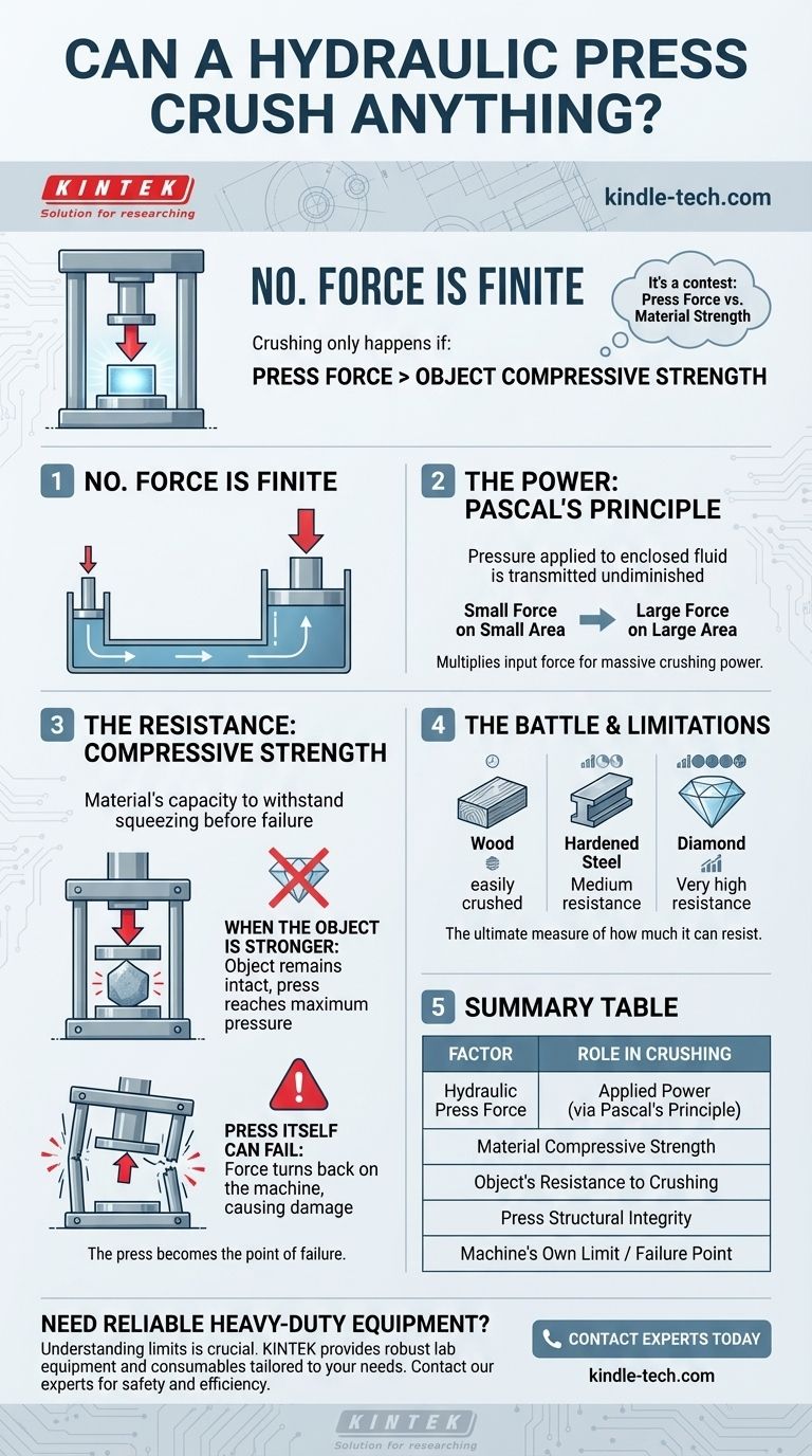Une presse hydraulique peut-elle écraser n'importe quoi ? Découvrez les limites d'une force immense Guide Visuel