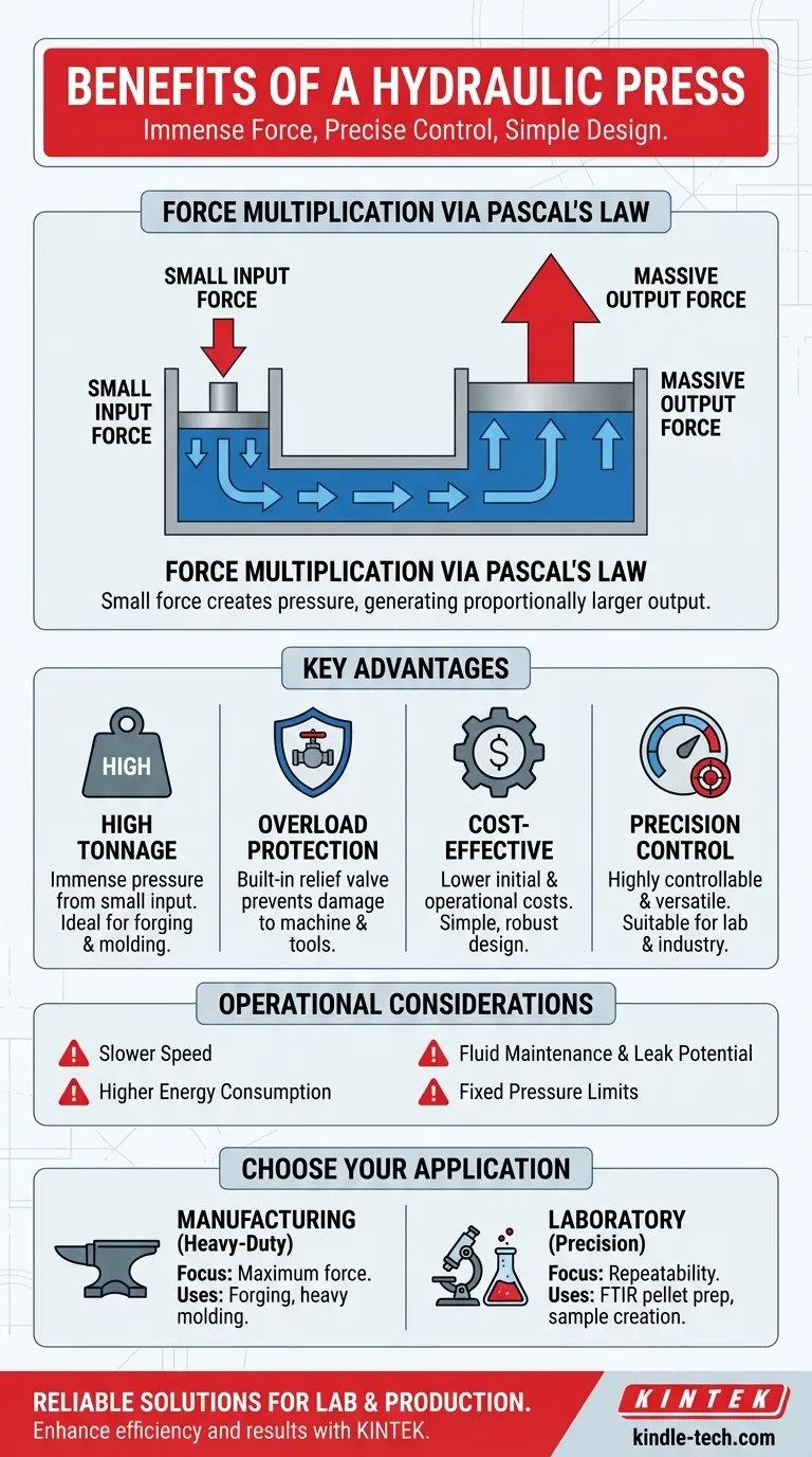 ما هي فوائد المكبس الهيدروليكي؟ قوة هائلة، تحكم دقيق، وفعالية من حيث التكلفة دليل مرئي