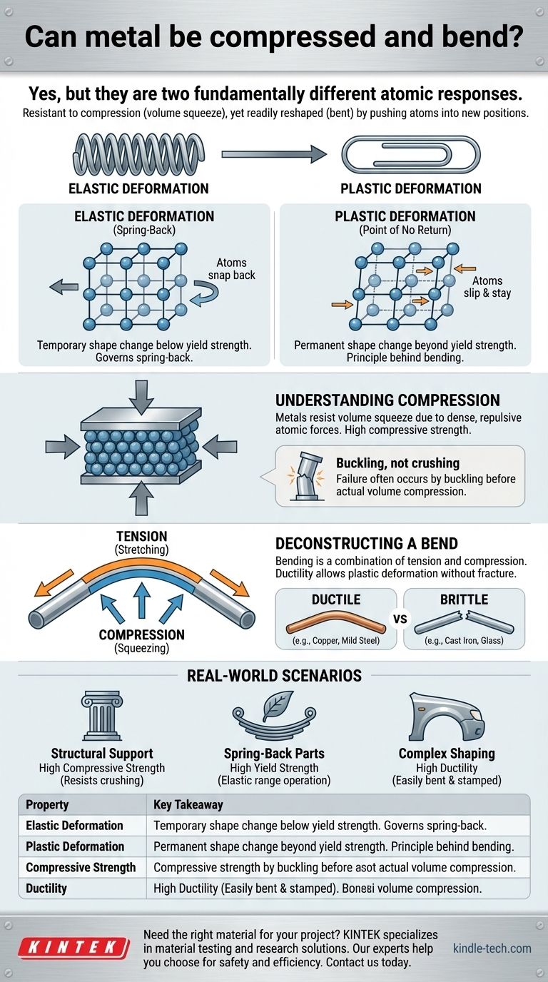 هل يمكن ضغط المعدن وثنيه؟ الفرق الحاسم بين التشوه المرن واللدن دليل مرئي
