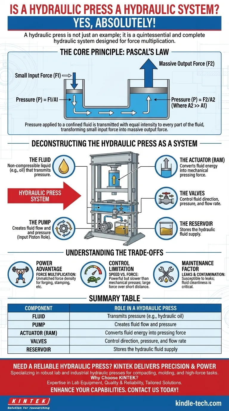 هل المكبس الهيدروليكي نظام هيدروليكي؟ دليل شامل لمبادئه الأساسية دليل مرئي