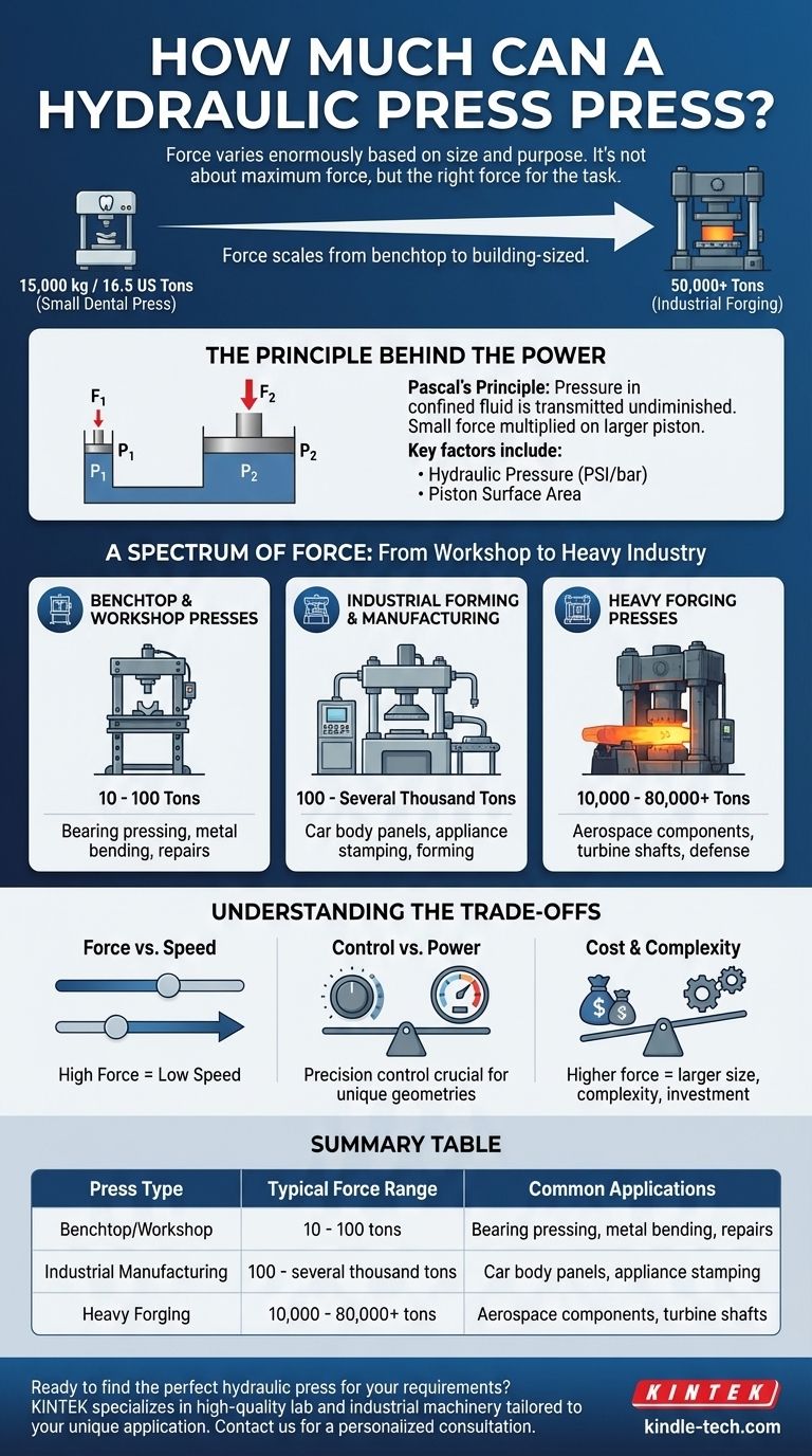 Quanta forza può esercitare una pressa idraulica? Da 15.000 kg a oltre 80.000 tonnellate Guida Visiva