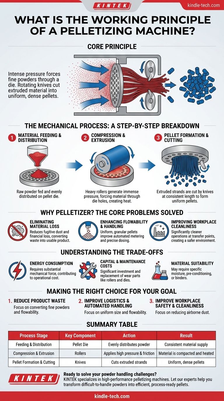 펠렛 성형기의 작동 원리는 무엇입니까? 분말을 조밀하고 균일한 펠렛으로 변환 시각적 가이드