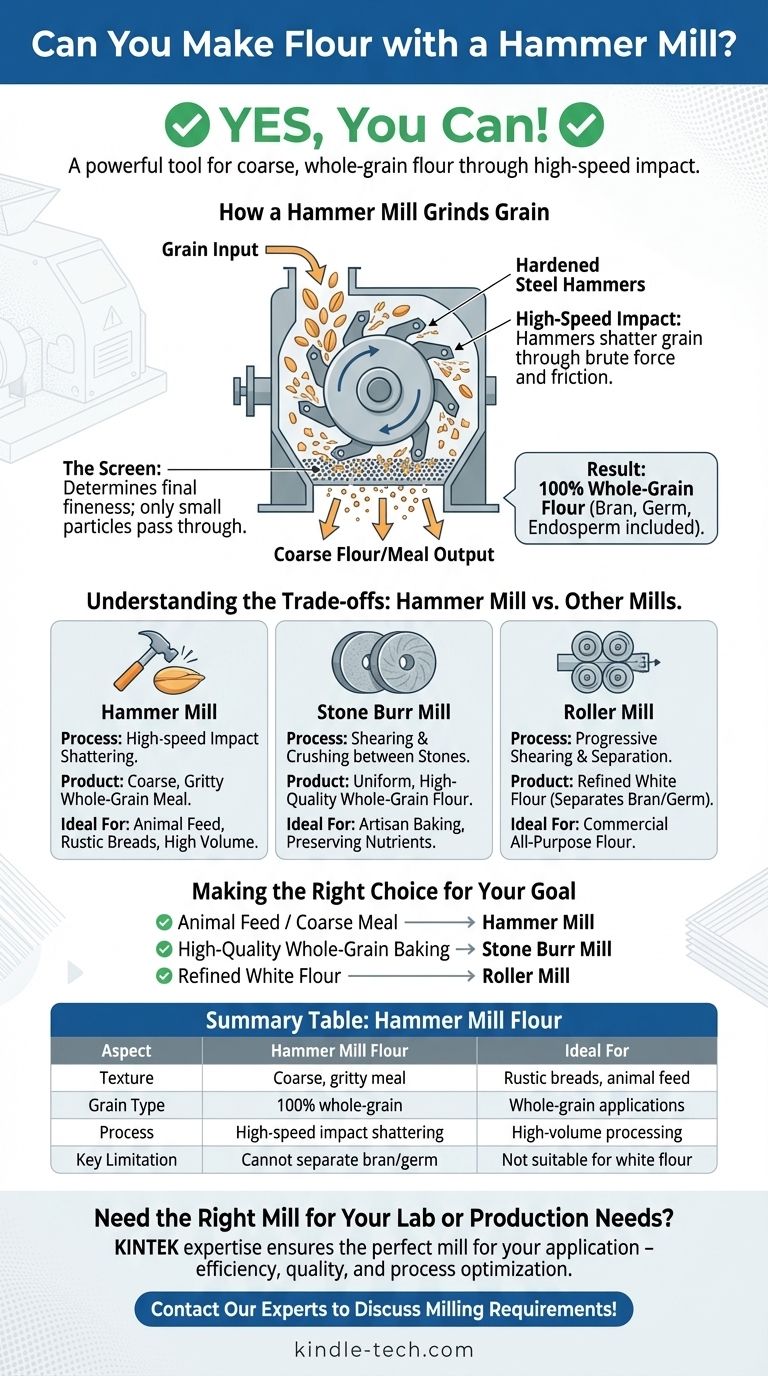 هل يمكنك صنع الدقيق باستخدام مطحنة المطارق؟ نعم، للدقيق الخشن والحبوب الكاملة و علف الحيوانات دليل مرئي