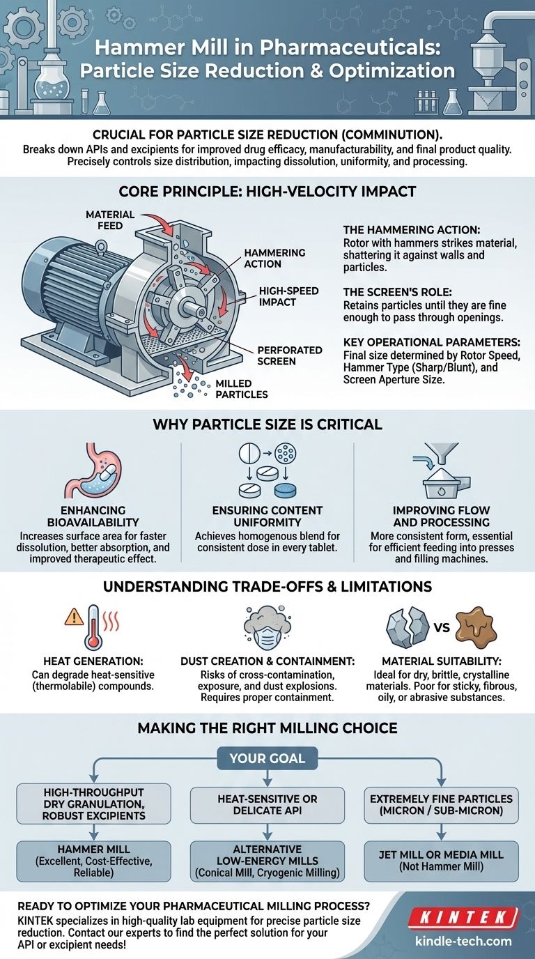 製薬分野におけるハンマーミルの用途とは？より良い薬効のための精密な粒子径制御を実現 ビジュアルガイド