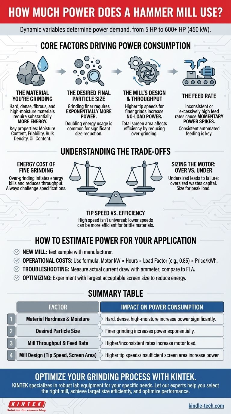 How much power does a hammer mill use? From 5HP to 600HP, Key Factors Explained Visual Guide