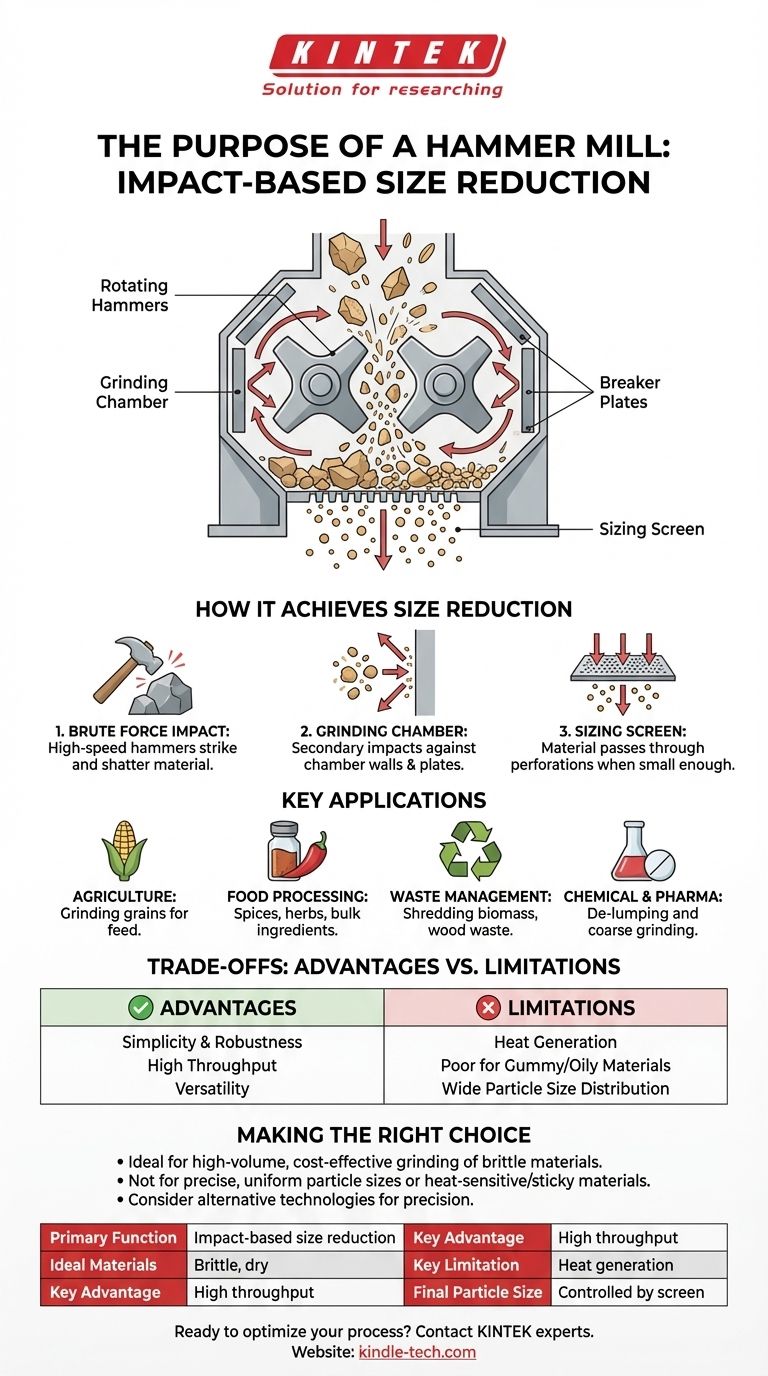 ما هو الغرض من مطحنة المطرقة؟ تقليل الحجم عالي التأثير لمواد متنوعة دليل مرئي