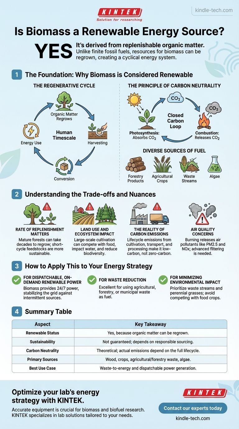 バイオマスは再生可能エネルギー源ですか？持続可能なエネルギーに関する真実 ビジュアルガイド