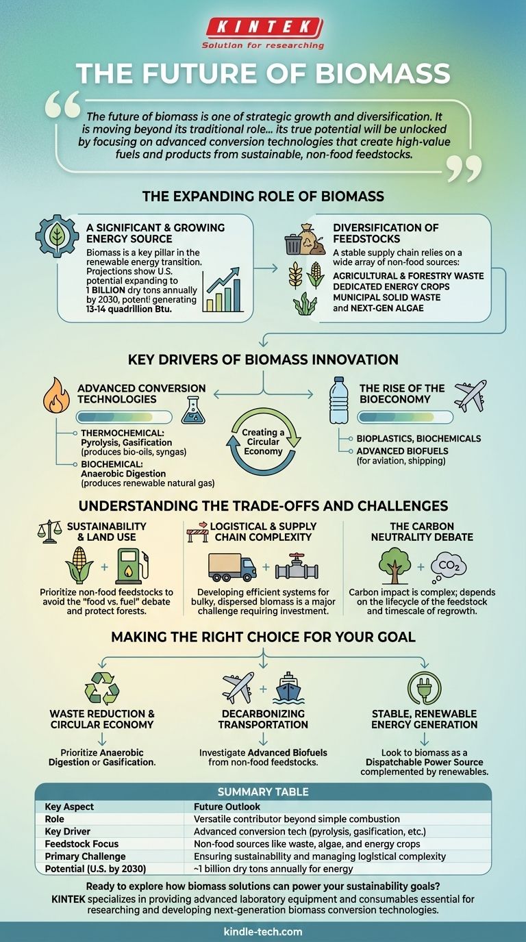 ما هو مستقبل الكتلة الحيوية؟ تحول استراتيجي نحو الوقود والمنتجات عالية القيمة دليل مرئي