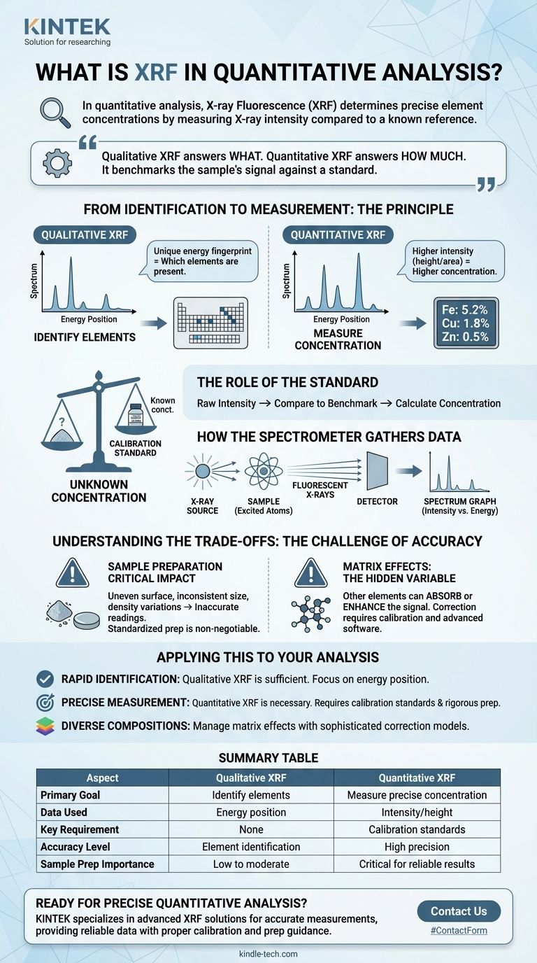 XRF在定量分析中是什么？实现精确的元素浓度测量 图解指南