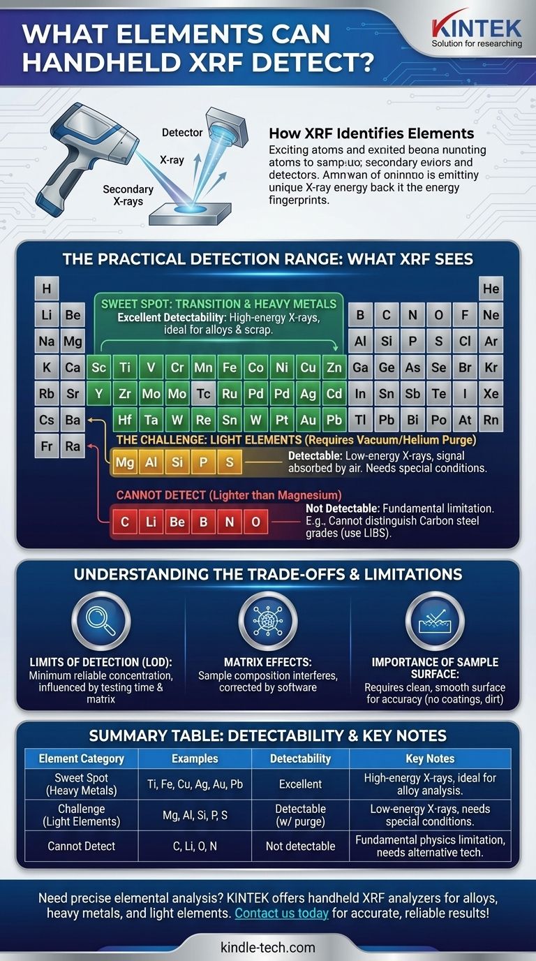 휴대용 XRF는 어떤 원소를 감지할 수 있나요? 마그네슘부터 우라늄까지, 그 기능과 한계를 이해하기 시각적 가이드