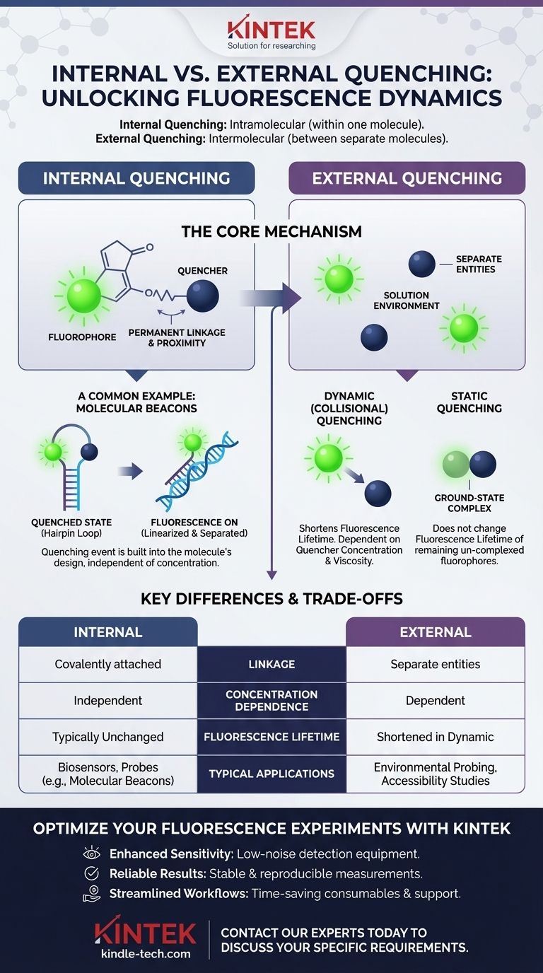 Qual è la differenza tra il quenching interno ed esterno? Una guida ai meccanismi di quenching della fluorescenza Guida Visiva
