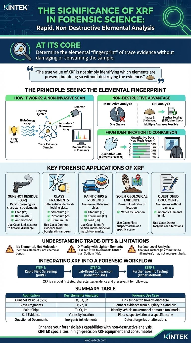법의학에서 XRF의 중요성은 무엇인가요? 신속하고 비파괴적인 원소 분석 달성 시각적 가이드