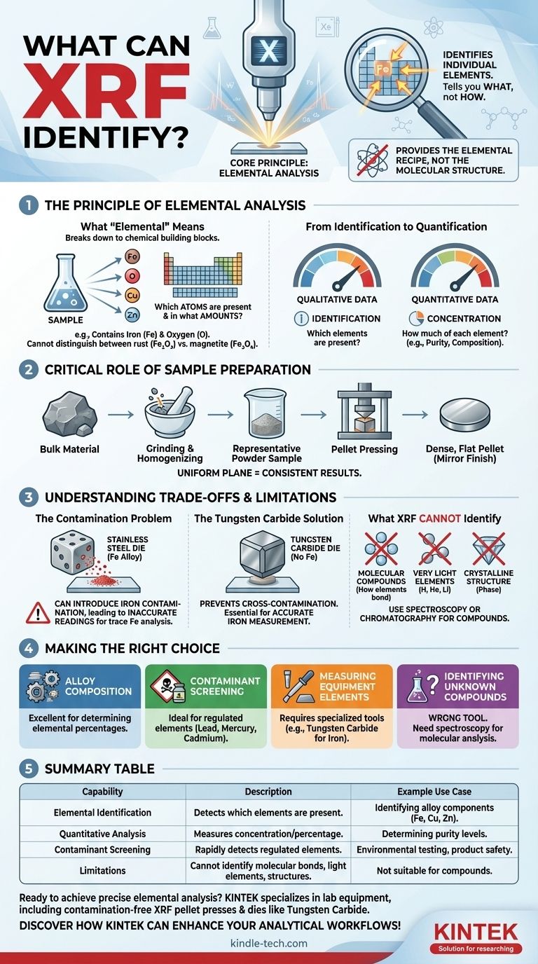 What can XRF identify? Discover the Elements in Your Materials with Precision Visual Guide