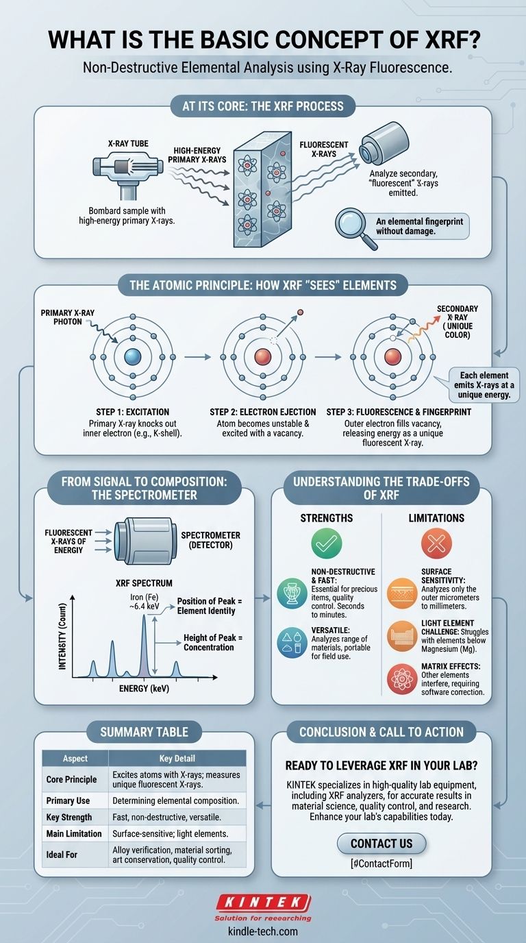 XRF的基本概念是什么？元素分析的无损指南 图解指南