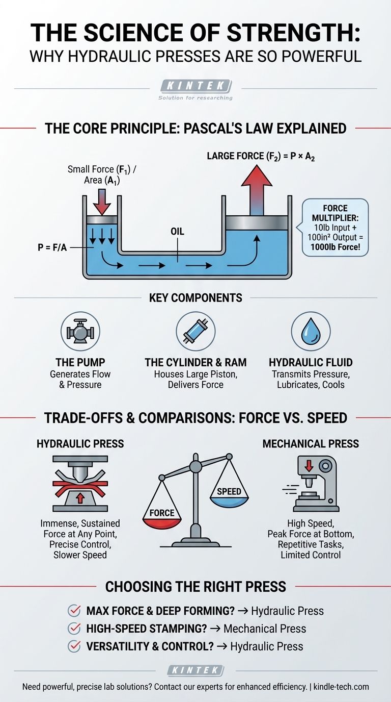 Perché le presse idrauliche sono così potenti? Sblocca il potere della Legge di Pascal Guida Visiva