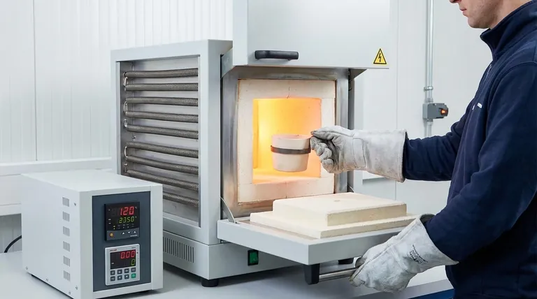 Qual é a diferença entre um forno de caixa e um forno mufla? Escolha o forno de laboratório certo para sua aplicação