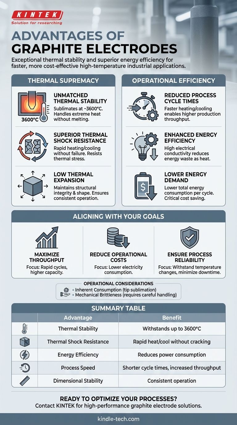 Quali sono i vantaggi dell'elettrodo di grafite? Ottenere un'efficienza termica ed energetica superiore Guida Visiva