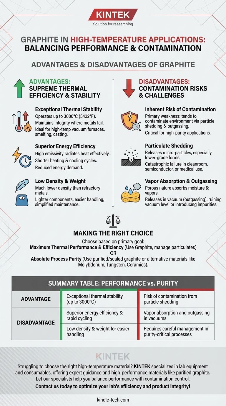 Quali sono i vantaggi e gli svantaggi della grafite? Padroneggiare le prestazioni ad alta temperatura vs. il rischio di contaminazione Guida Visiva