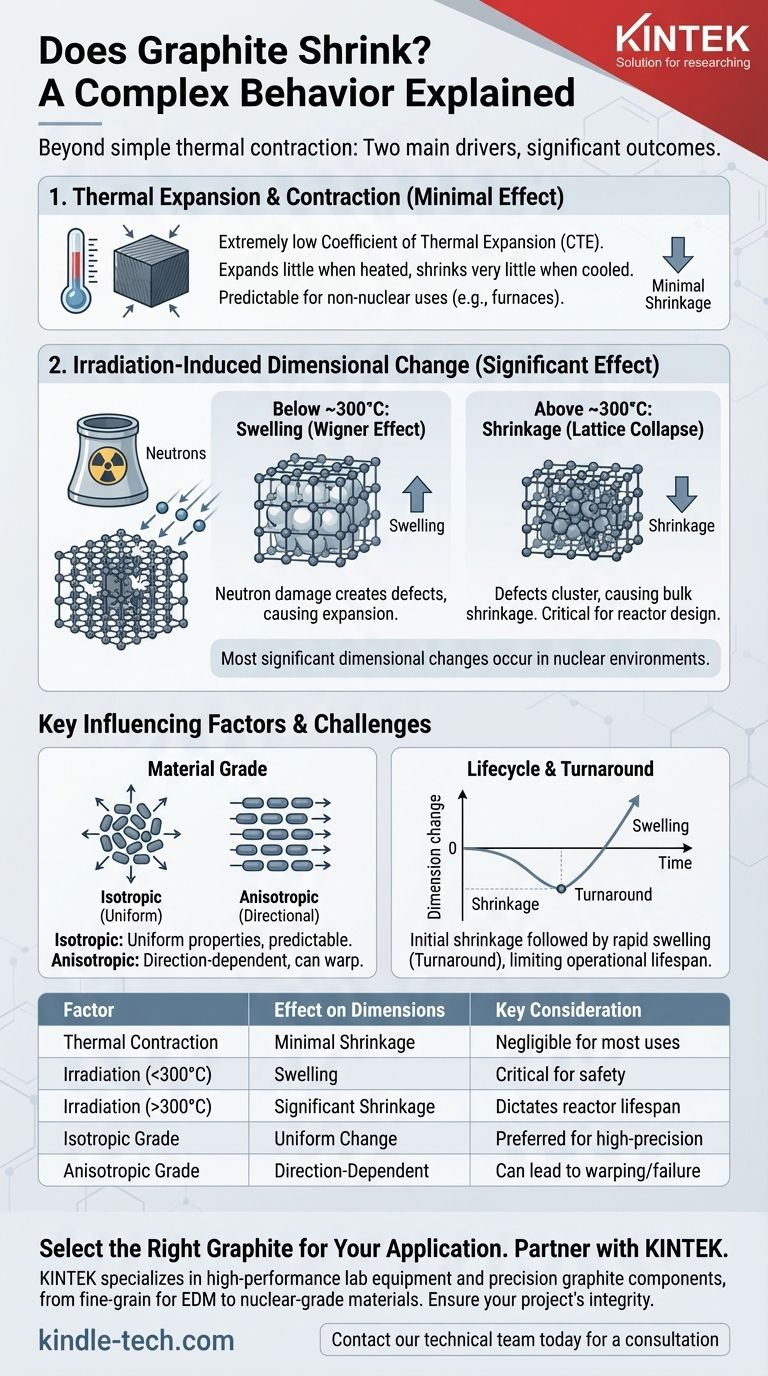 Le graphite rétrécit-il ? Le rôle critique de la température et du rayonnement sur la stabilité dimensionnelle Guide Visuel