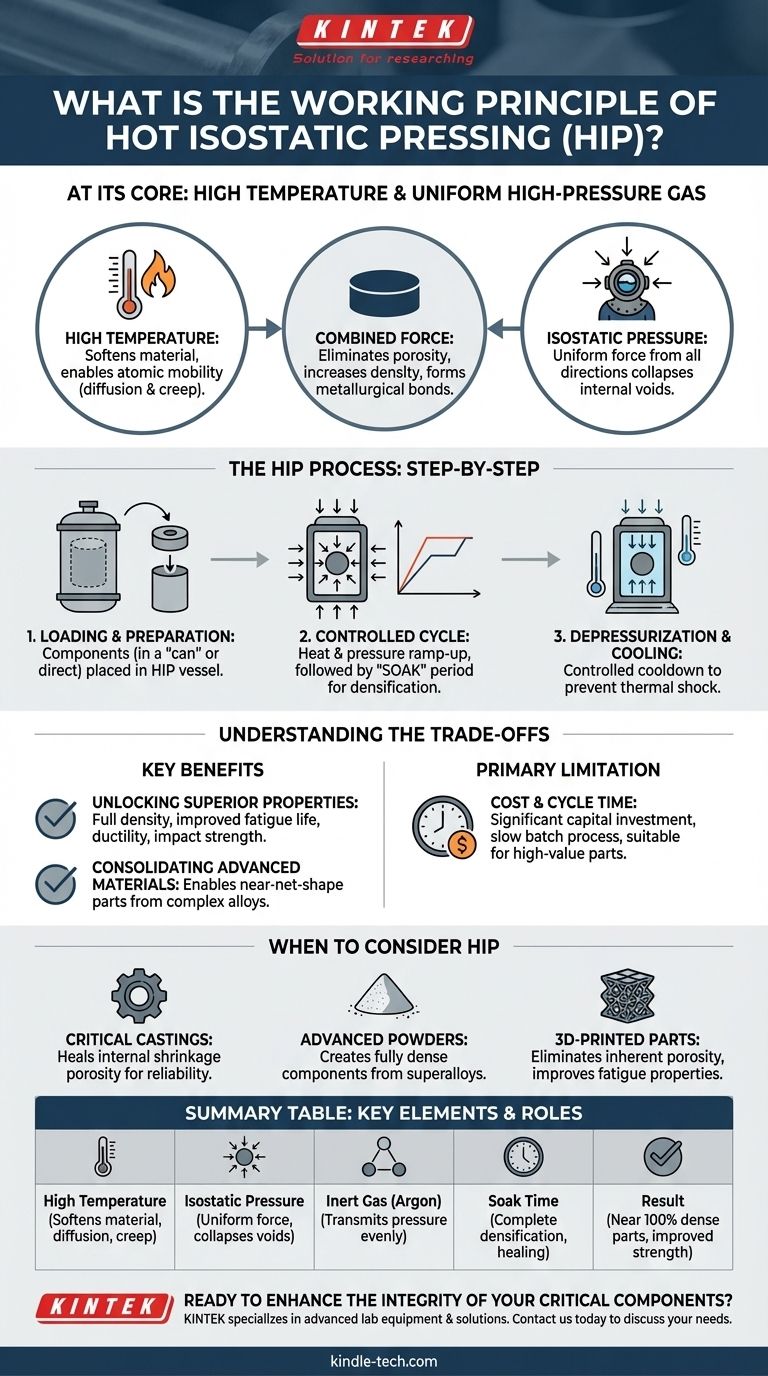 Quel est le principe de fonctionnement du pressage isostatique à chaud ? Débloquez une densité et des performances matérielles supérieures Guide Visuel