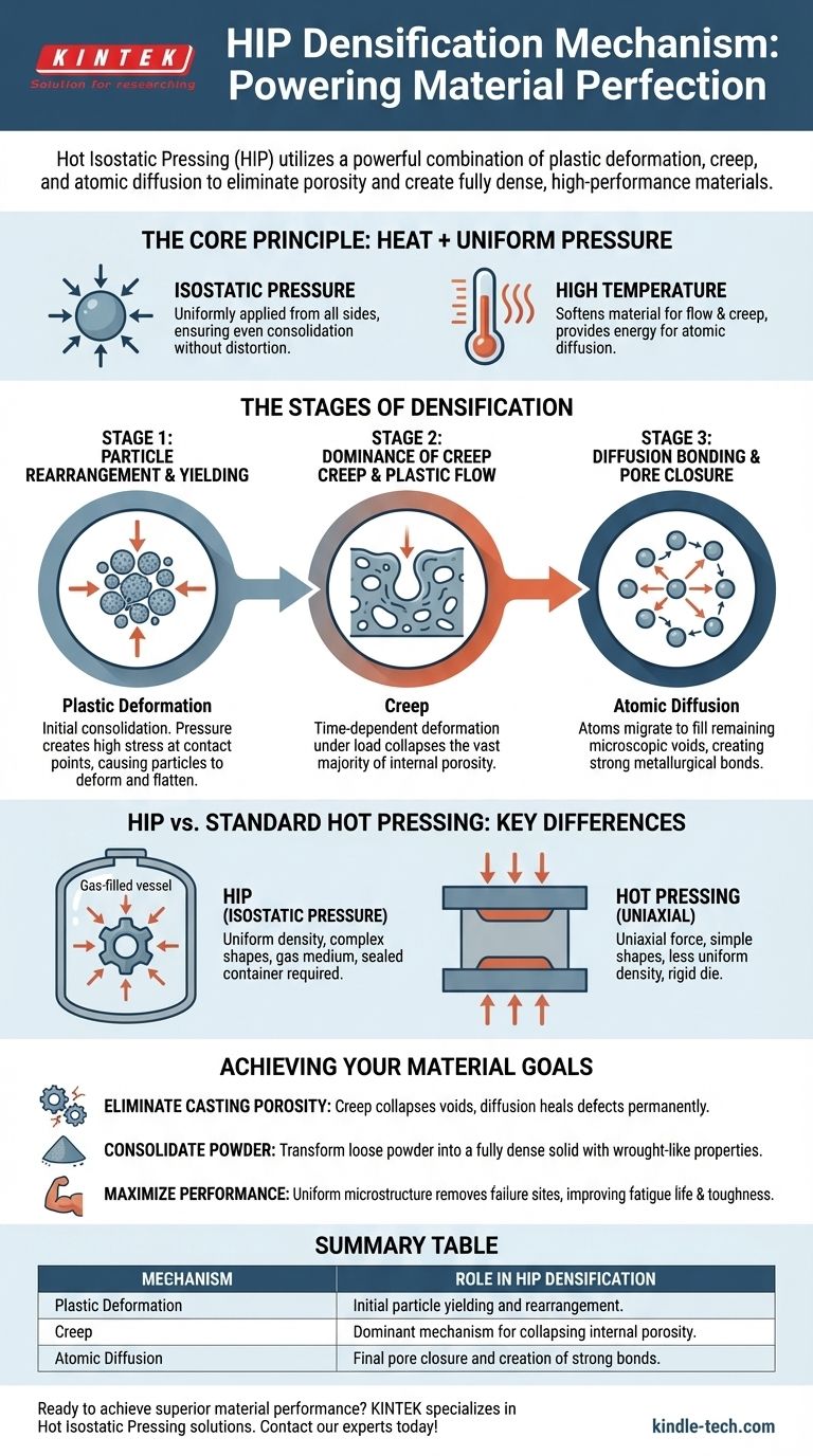 ما هي آلية التكثيف للضغط المتوازن الساخن؟ تحقيق كثافة مثالية للمواد دليل مرئي