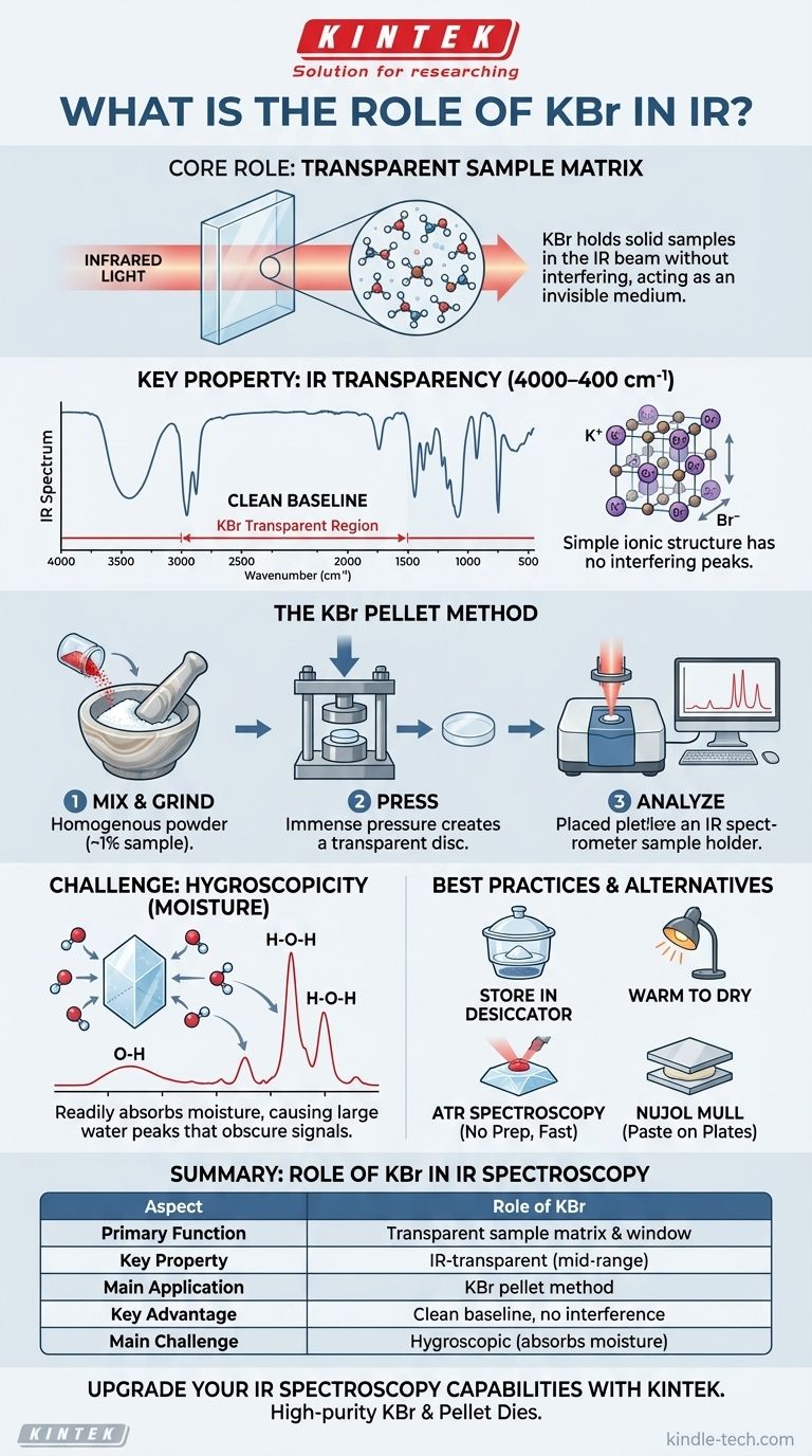 Welche Rolle spielt KBr in der IR-Spektroskopie? Erreichen Sie hochauflösende Spektren für feste Proben Visuelle Anleitung