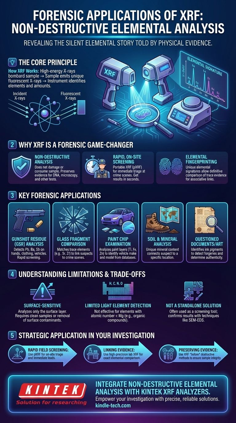 XRF의 법의학적 응용 분야는 무엇인가요? 증거의 원소 지문을 밝혀내다 시각적 가이드