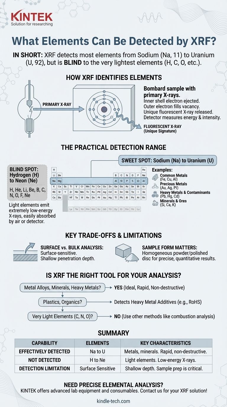 Какие элементы может обнаруживать РФА? От натрия до урана с критическим «слепым пятном» Визуальное руководство