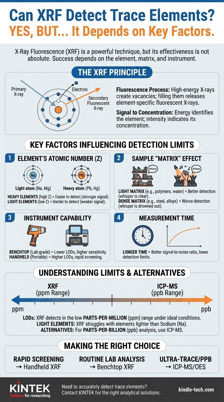 Kann RFA Spurenelemente nachweisen? Ein Leitfaden zu Grenzwerten, Fähigkeiten und der Wahl des richtigen Werkzeugs Visuelle Anleitung