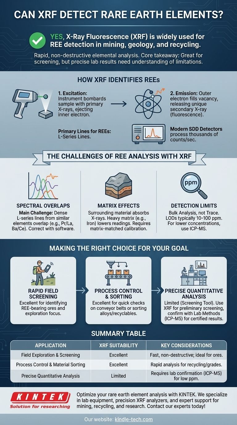 L'XRF peut-il détecter les terres rares ? Un guide pour une analyse rapide et non destructive Guide Visuel