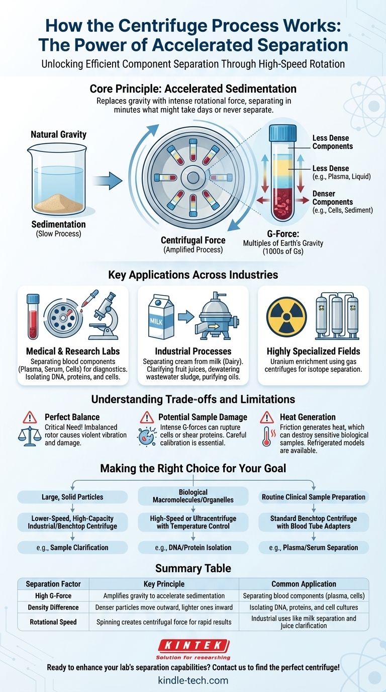 كيف تعمل عملية الطرد المركزي؟ أطلق العنان للفصل السريع لمختبرك دليل مرئي