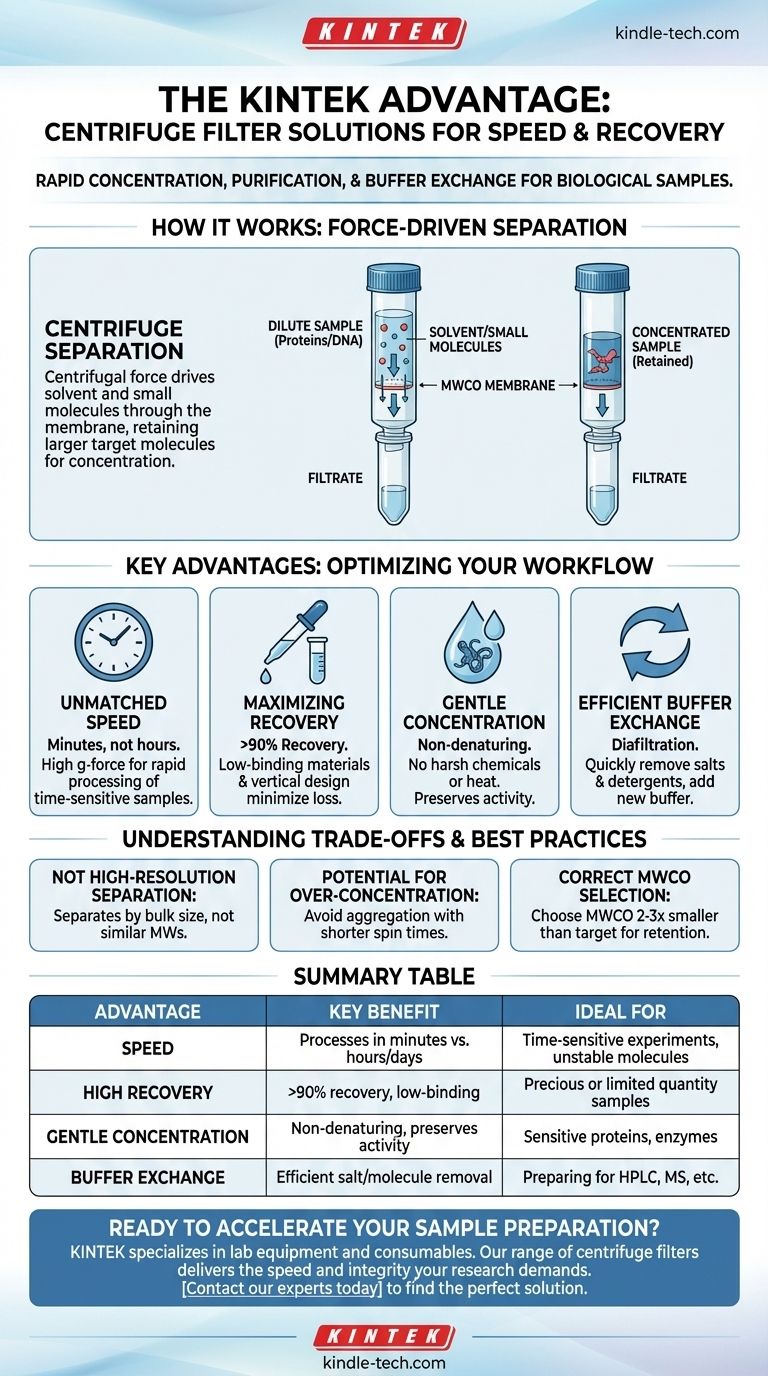¿Cuáles son las ventajas de un filtro centrífugo? Logre una preparación de muestras rápida y suave para su laboratorio Guía Visual