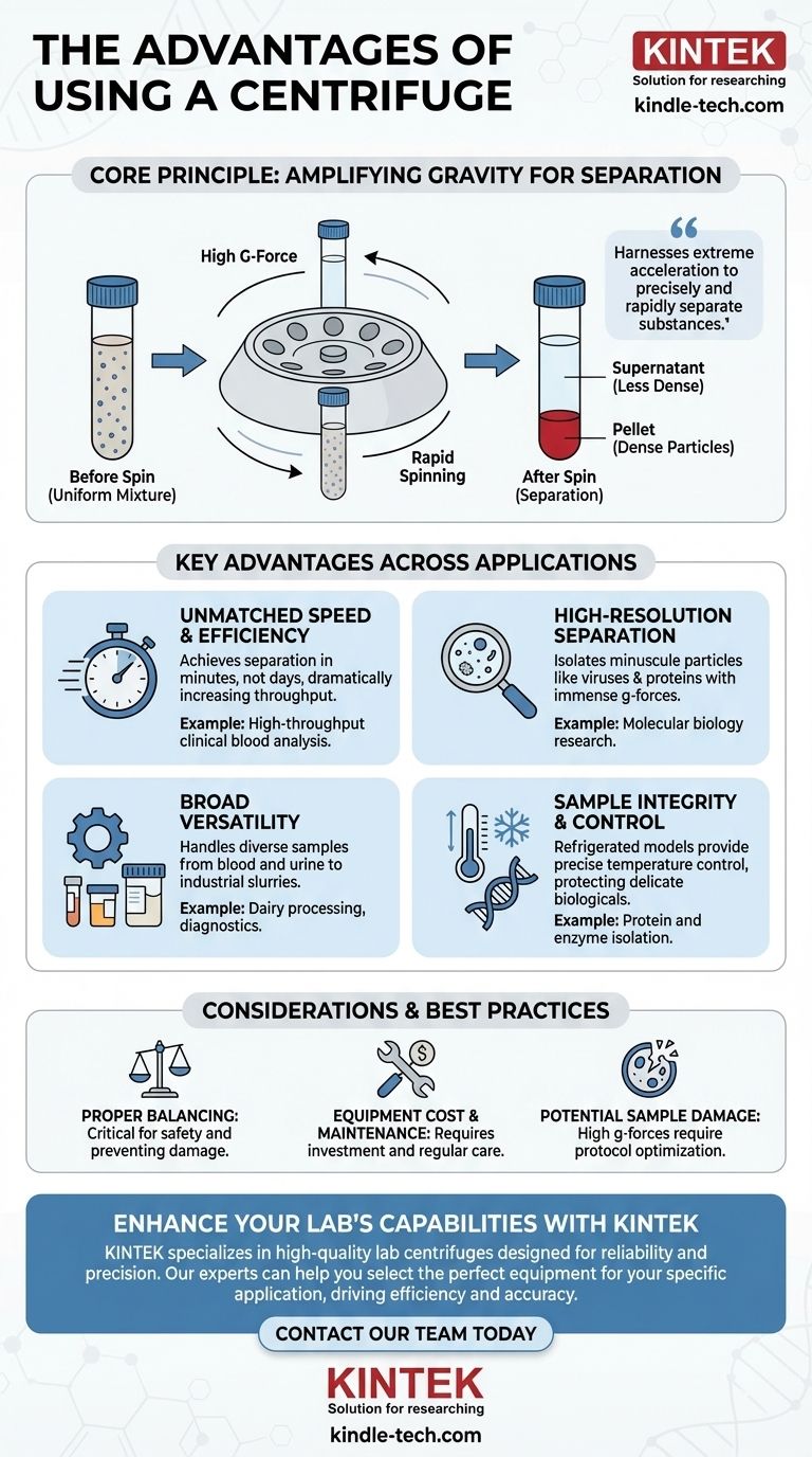 ¿Cuáles son las ventajas de usar una centrífuga? Logre una separación de muestras rápida y de alta resolución Guía Visual