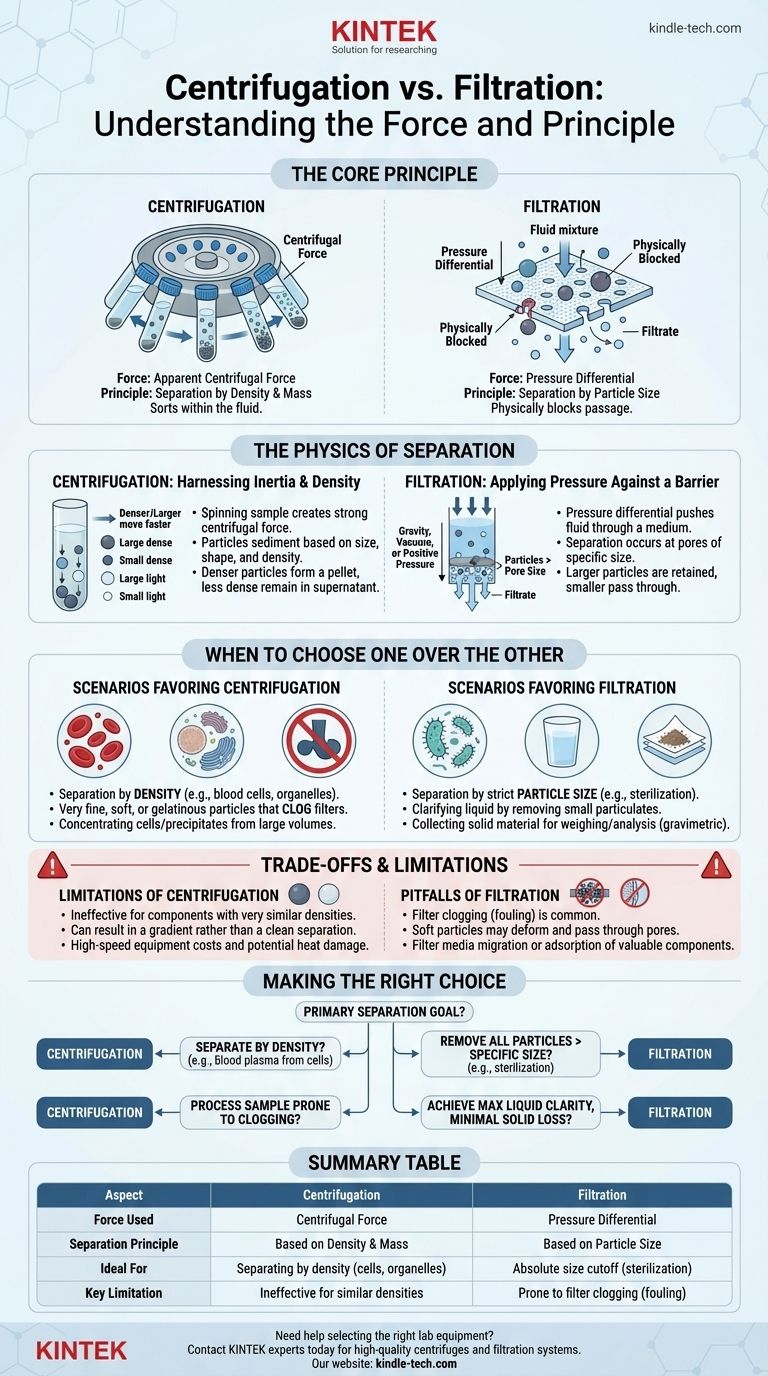 사용되는 힘을 기준으로 원심분리와 여과의 차이점은 무엇인가요? 올바른 분리 방법을 선택하기 위한 가이드 시각적 가이드