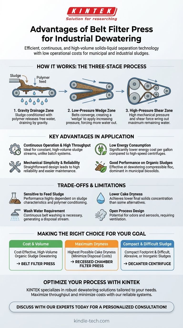 带式压滤机的优势是什么？以低运营成本实现高产量脱水 图解指南