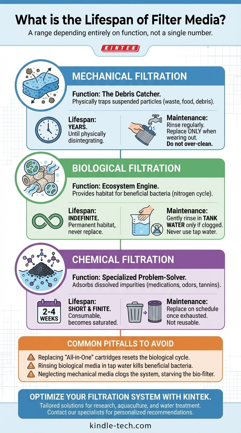 フィルターメディアの寿命は？最適なろ過のための3つのタイプを理解する ビジュアルガイド