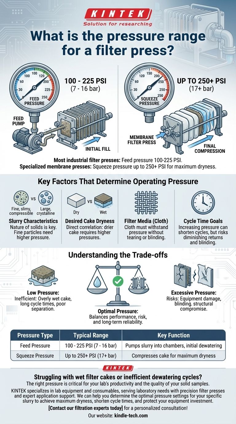 ¿Cuál es el rango de presión para un filtro prensa? Logre una deshidratación y sequedad de la torta óptimas Guía Visual