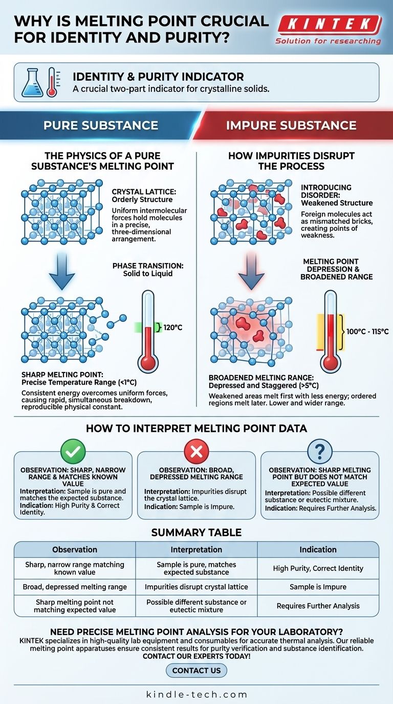 融点が物質の同一性と純度にとってなぜ重要なのか？ サンプル組成の重要な指標 ビジュアルガイド